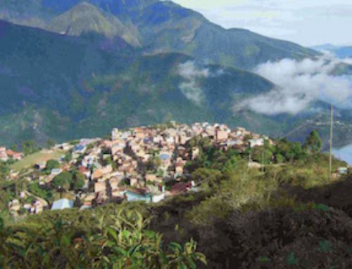 Découvertes en Bolivie: Coroïco, le repos dans les Yungas