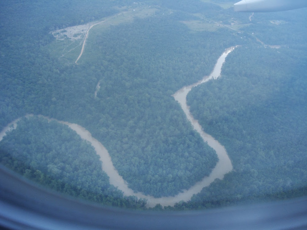 vue sur l'Amazonie arrivée en Guyane