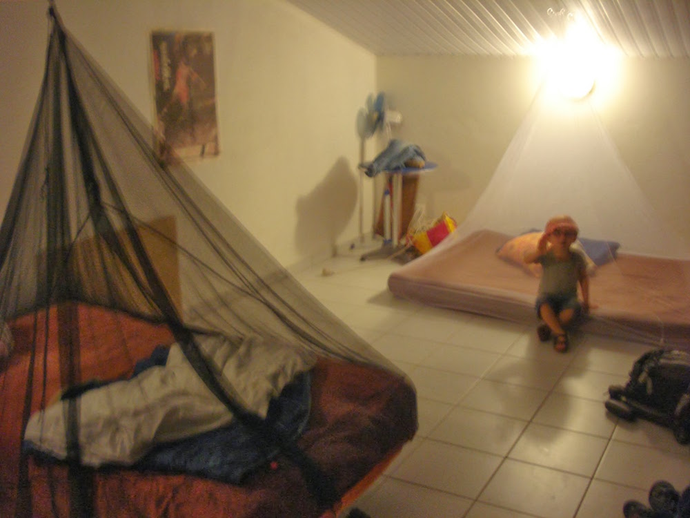 Installation des moustiquaires en Guyane