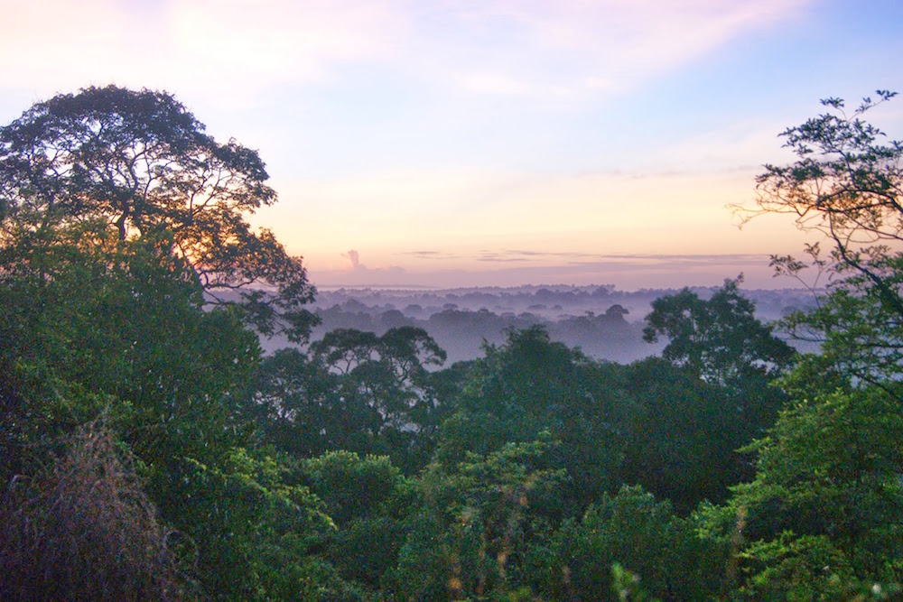 lever de soleil sur la jungle, savane roches Guyane