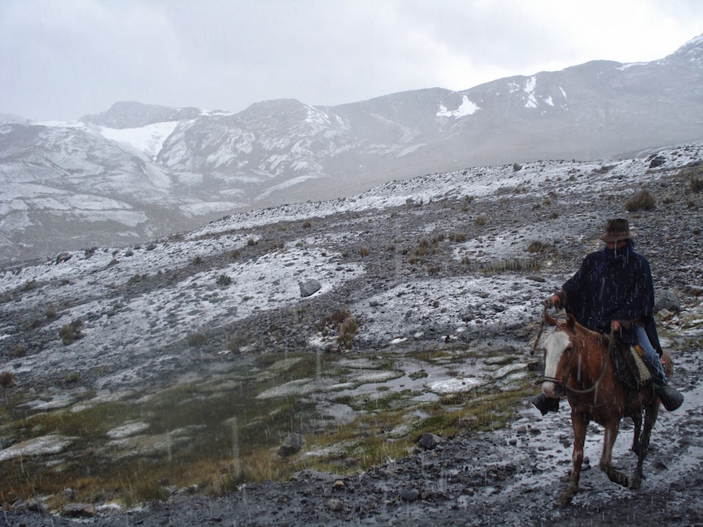 montee à cheval glacier pastoruri Pérou