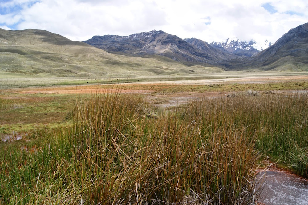 Source d'eau gazeuse parc de huascaran Pérou