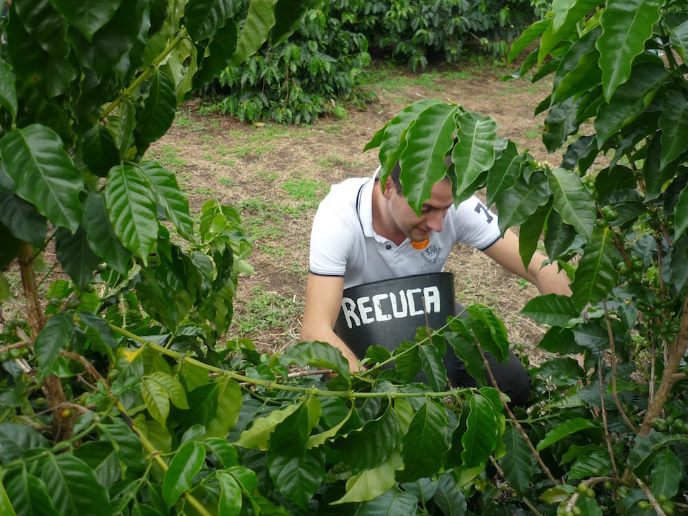 ramasseur de café en Colombie Recuca