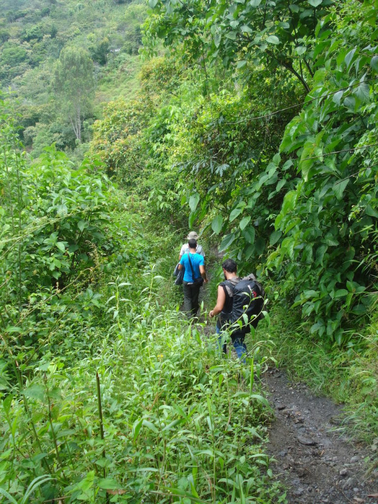 sentier inca trail Pérou - inca jungle