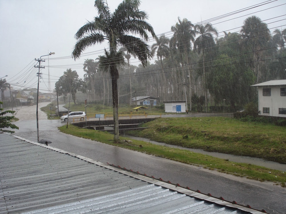 saison des pluies suriname Paramaribo